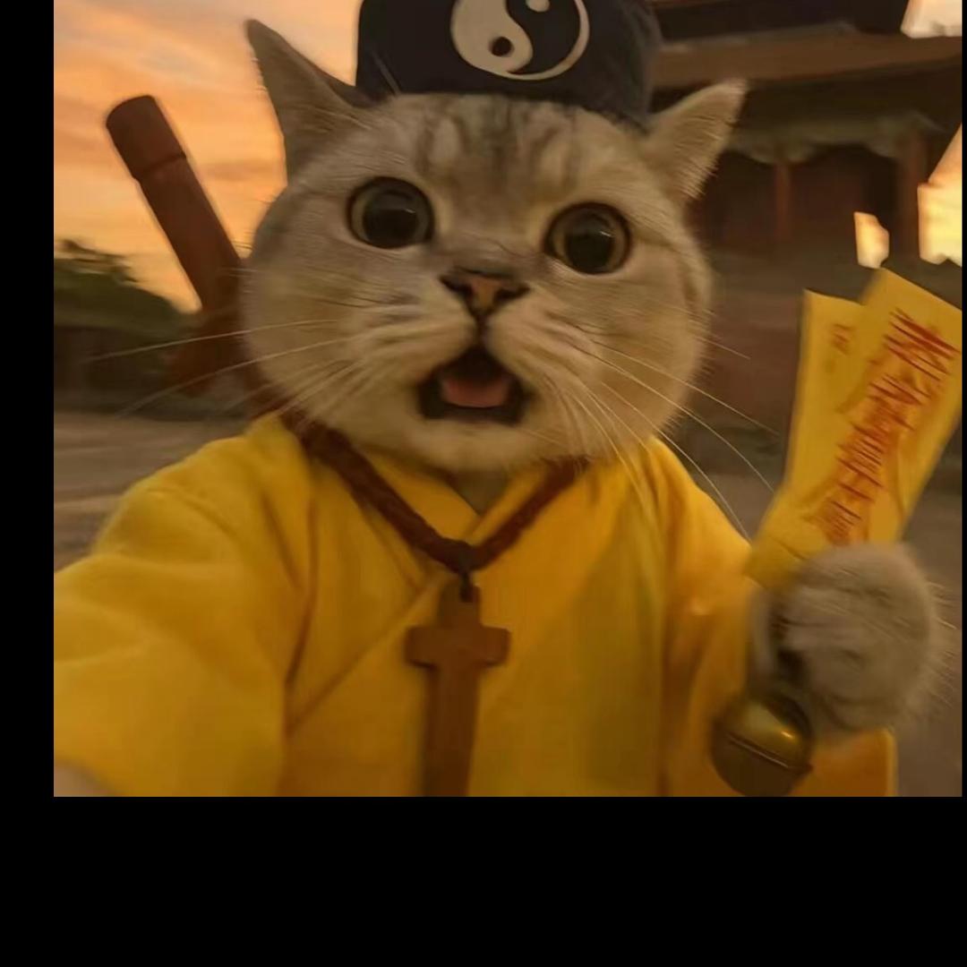 该死的你