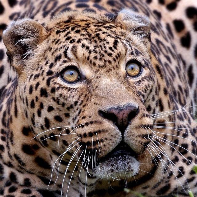 经典歌曲在线聆听