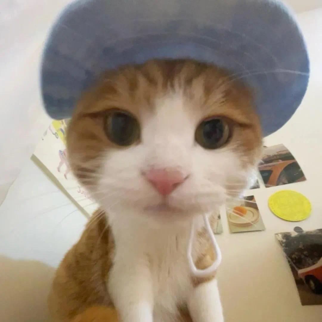 土豆妮