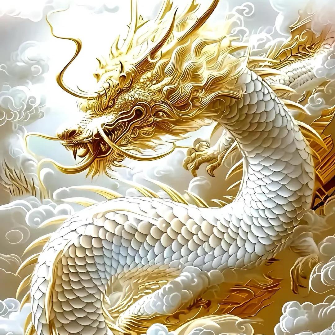 飞龙在天不回头🌟