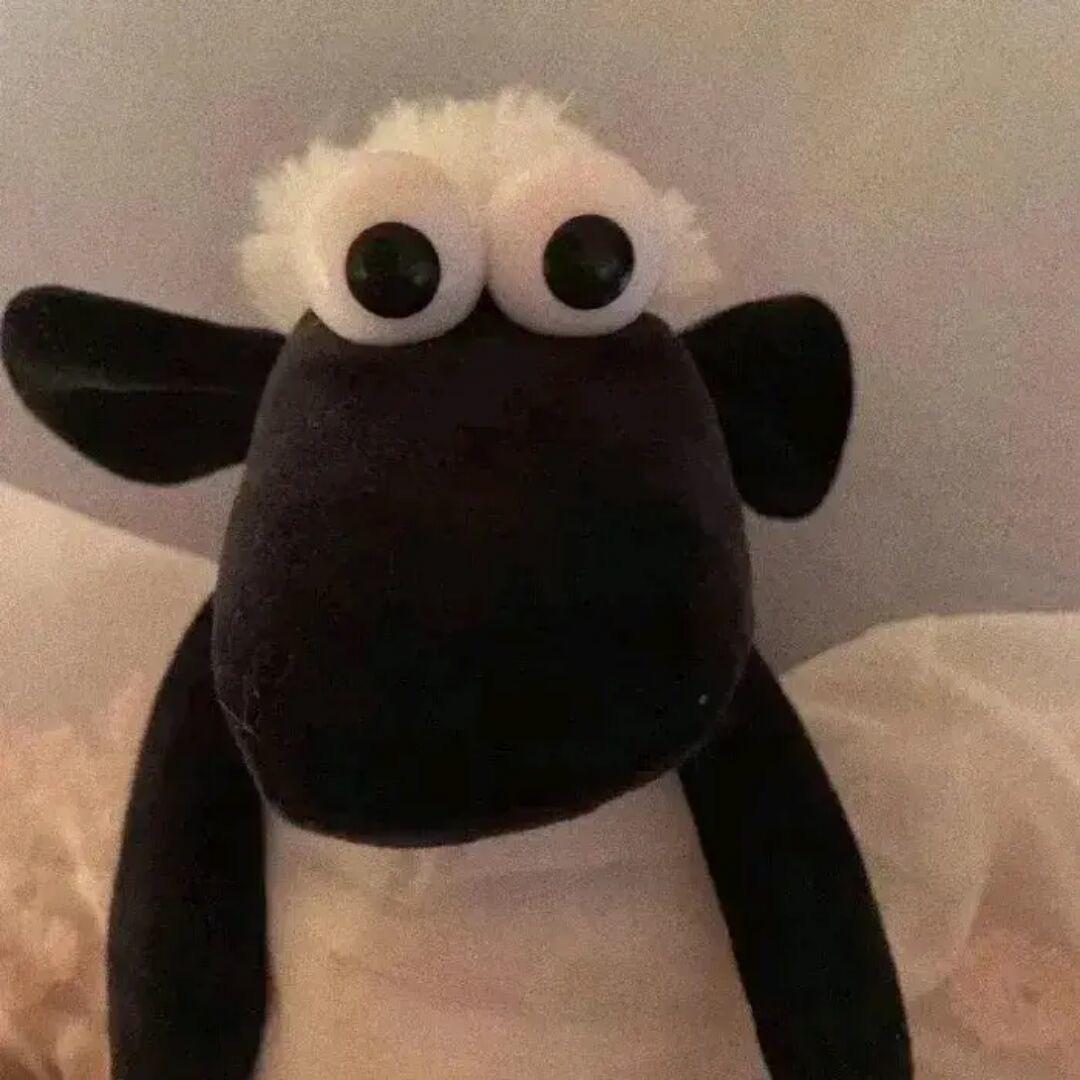 如果我能活到一千岁