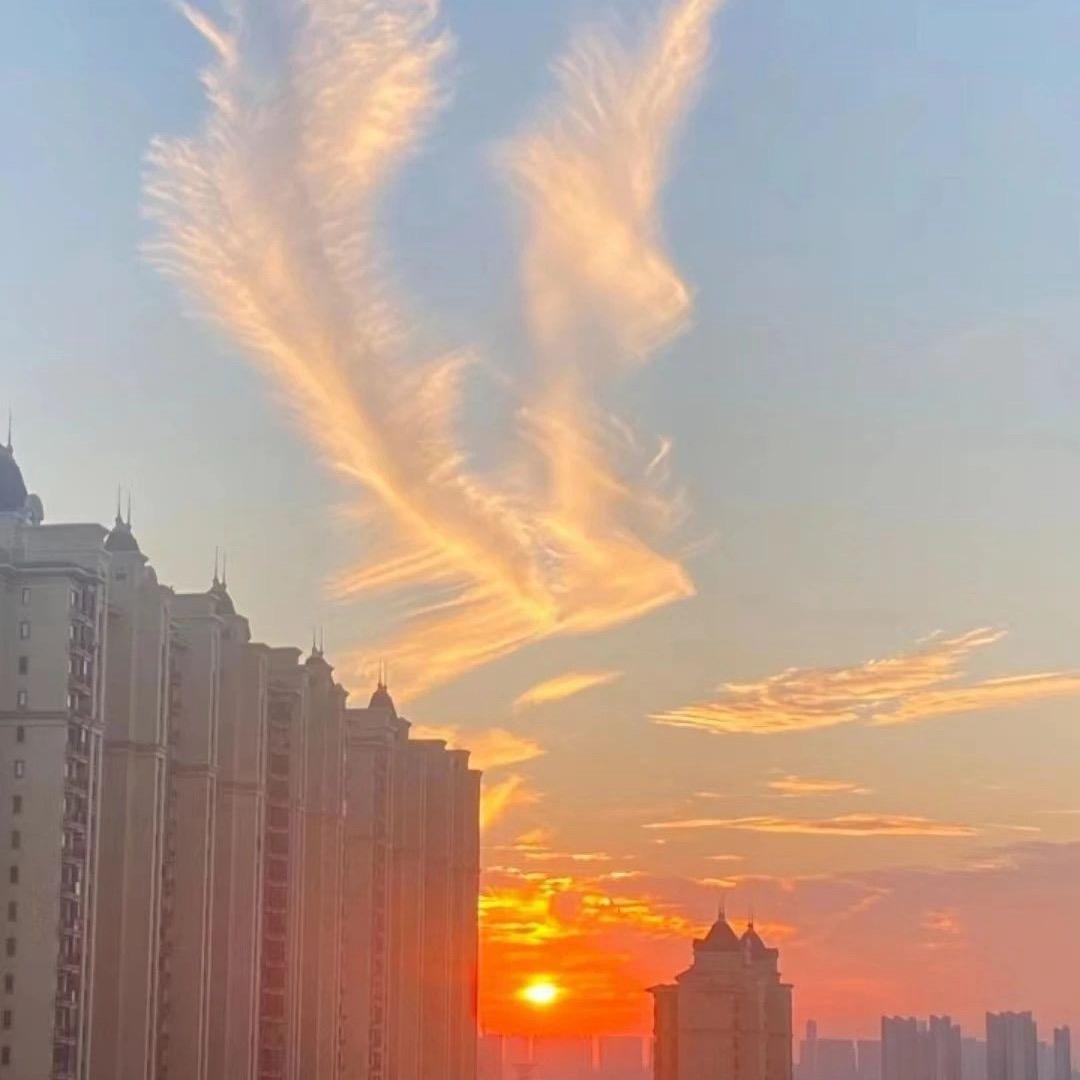 非正常人类研究员