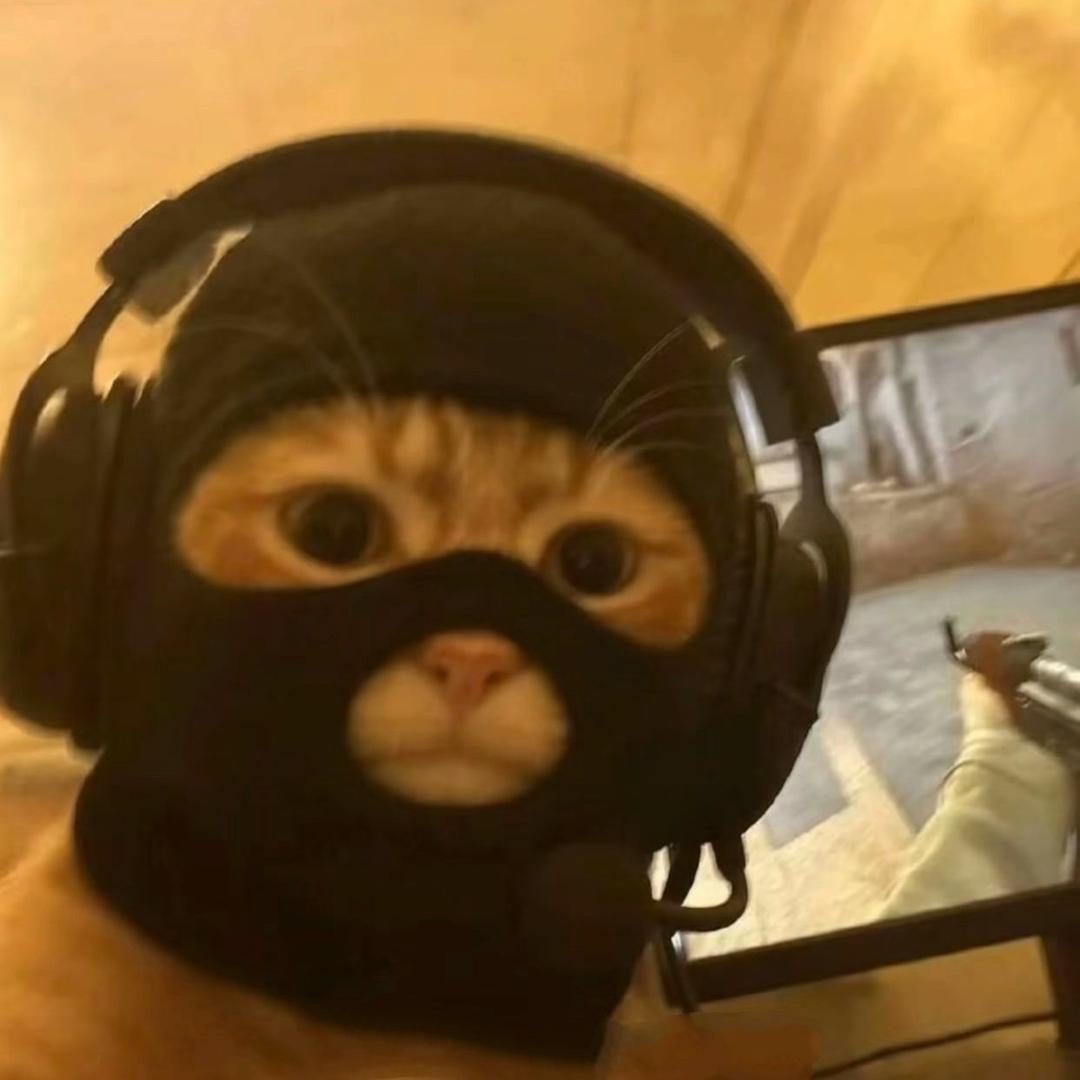 泰裤辣🫥
