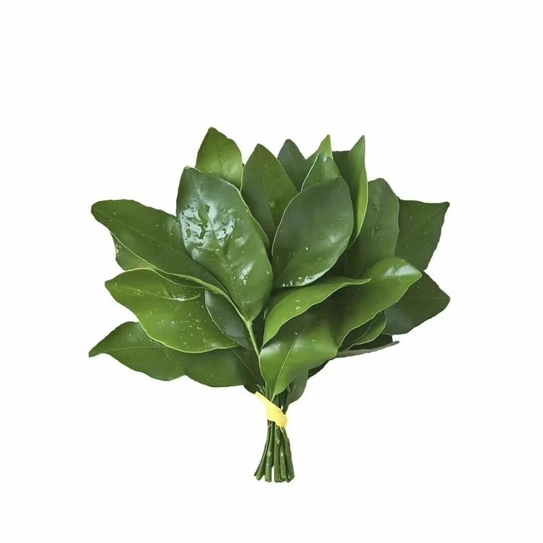 任同学👩‍🎓