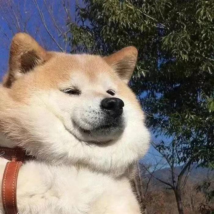 忠犬