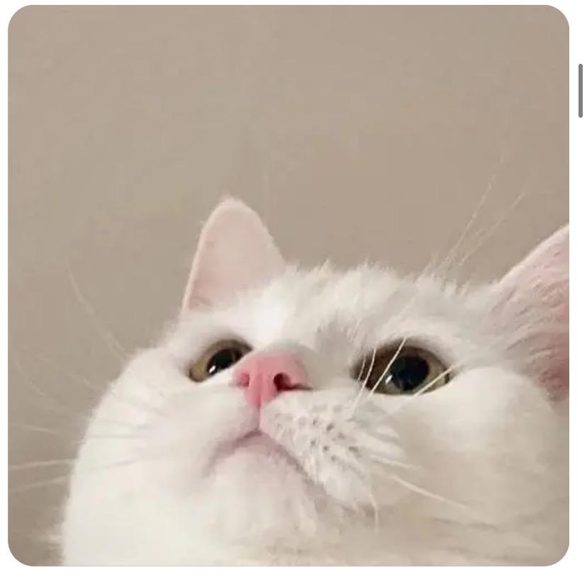 小毛毛