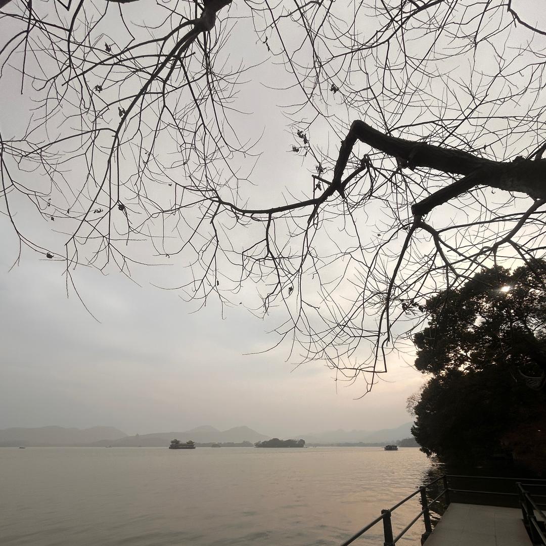 大知闲闲