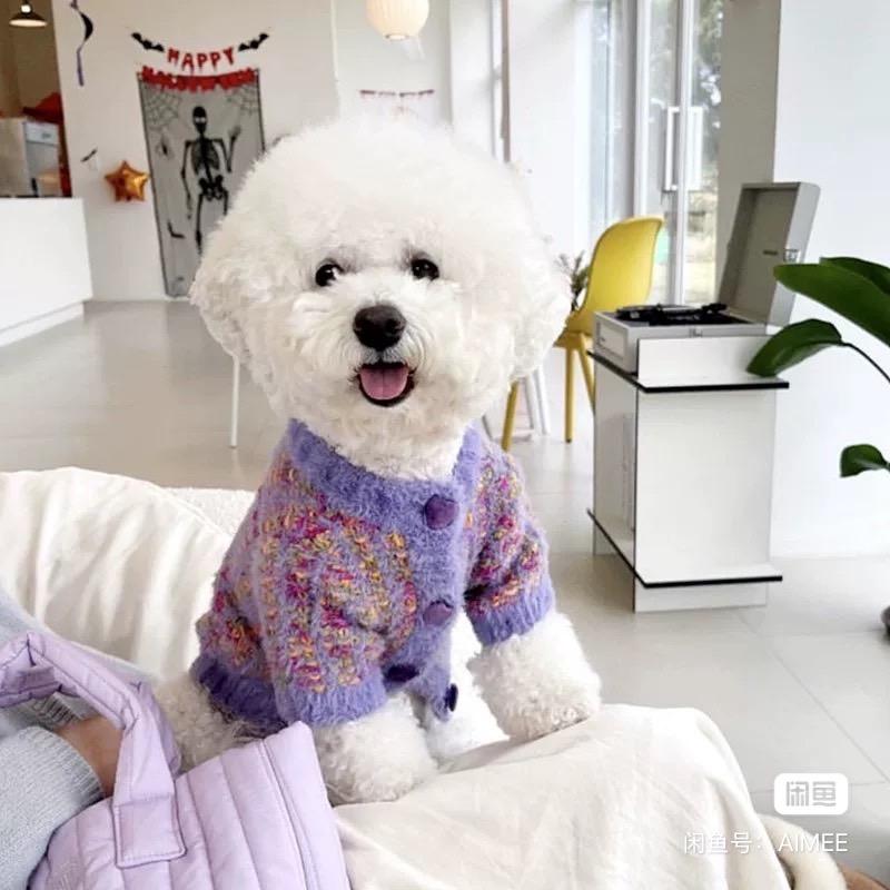 小可爱