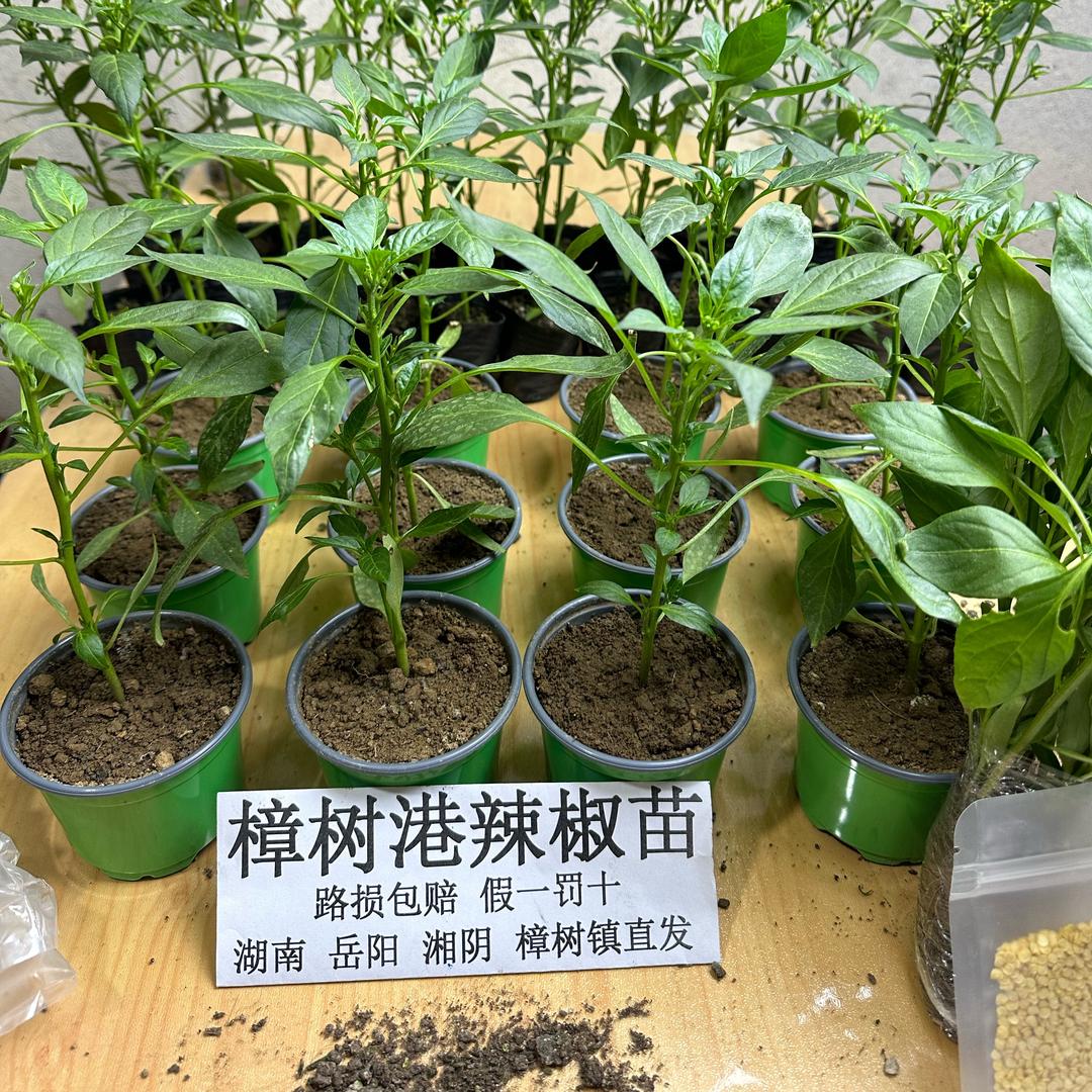 湘阴农臻选