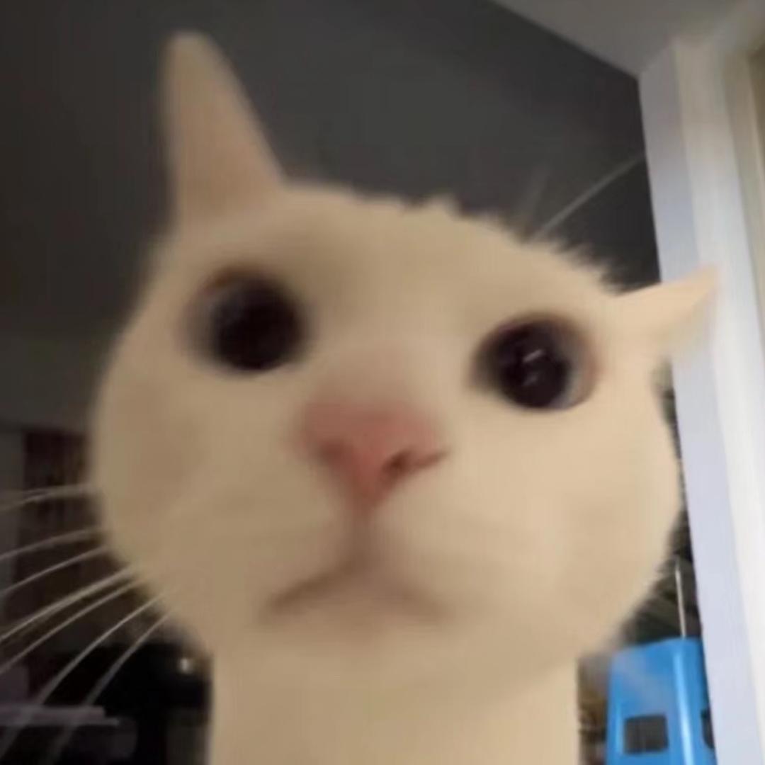 小᳐鱼大王᳐੭ﾞ