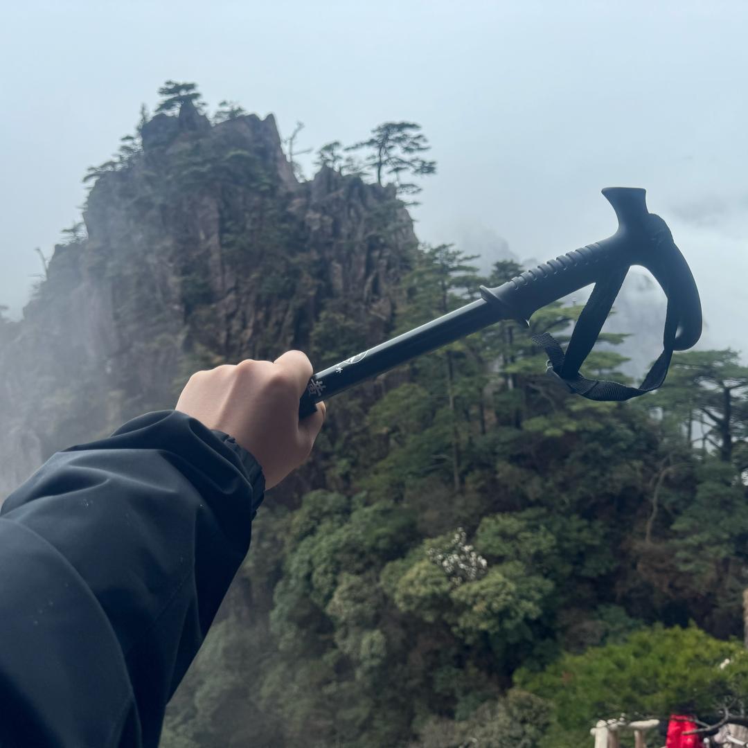 鱼沉大海
