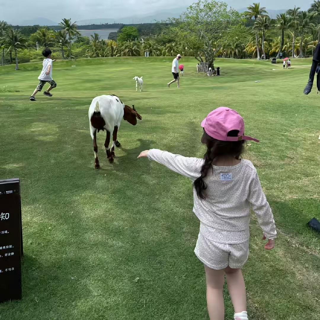 小绵羊🐑.