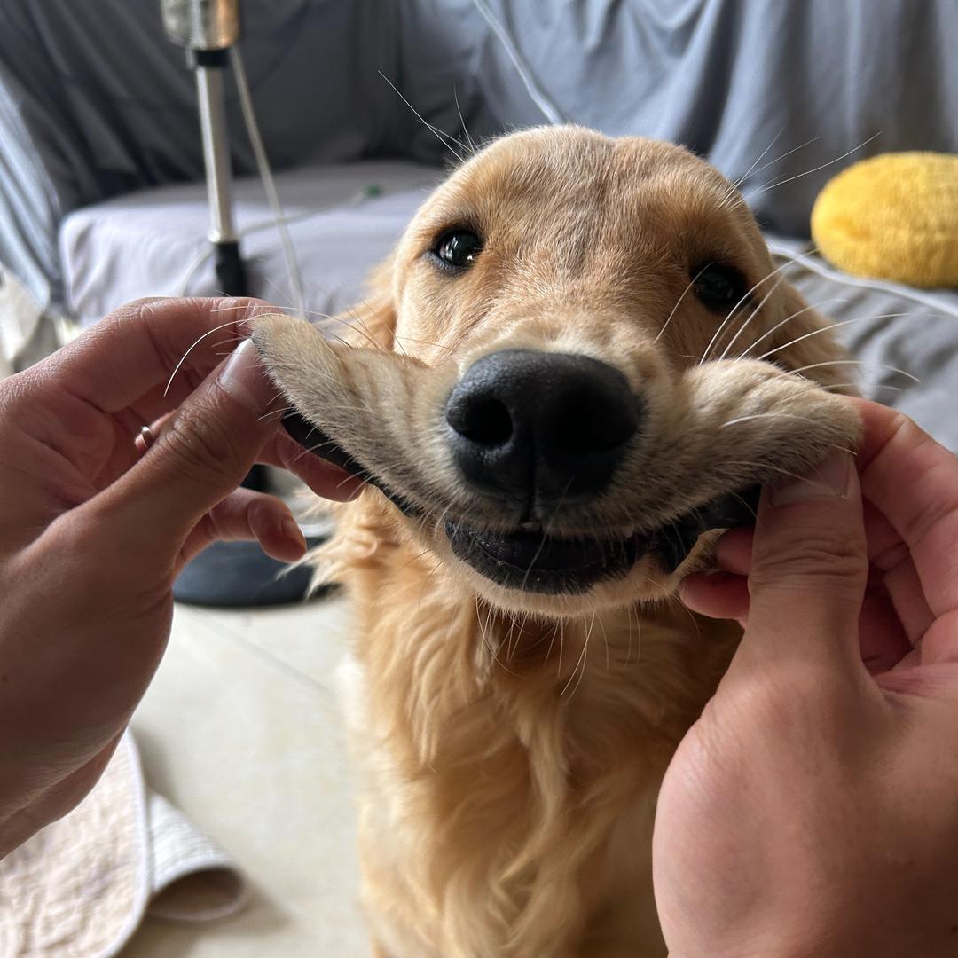 大风起兮云飞杨