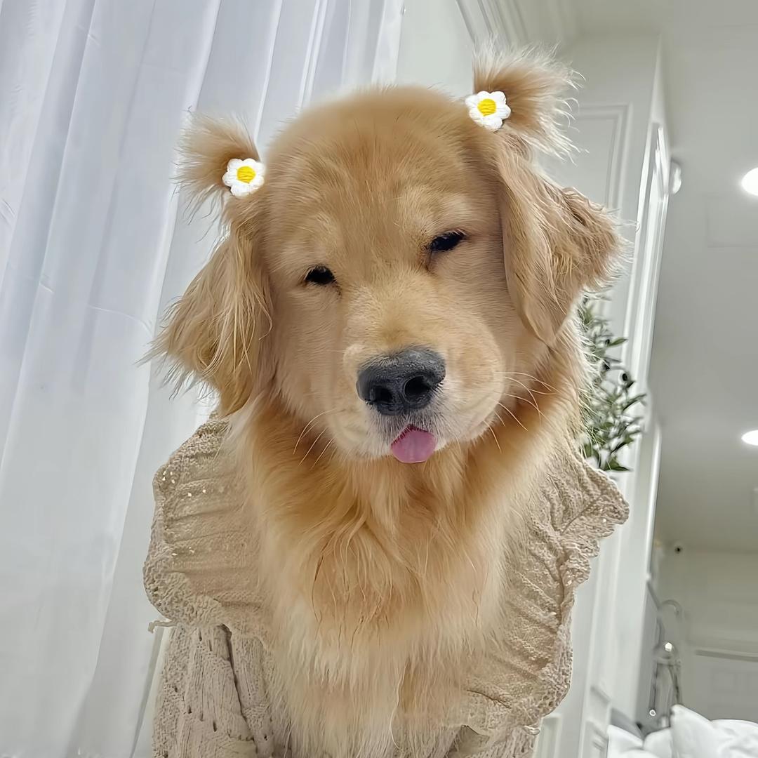 小慧