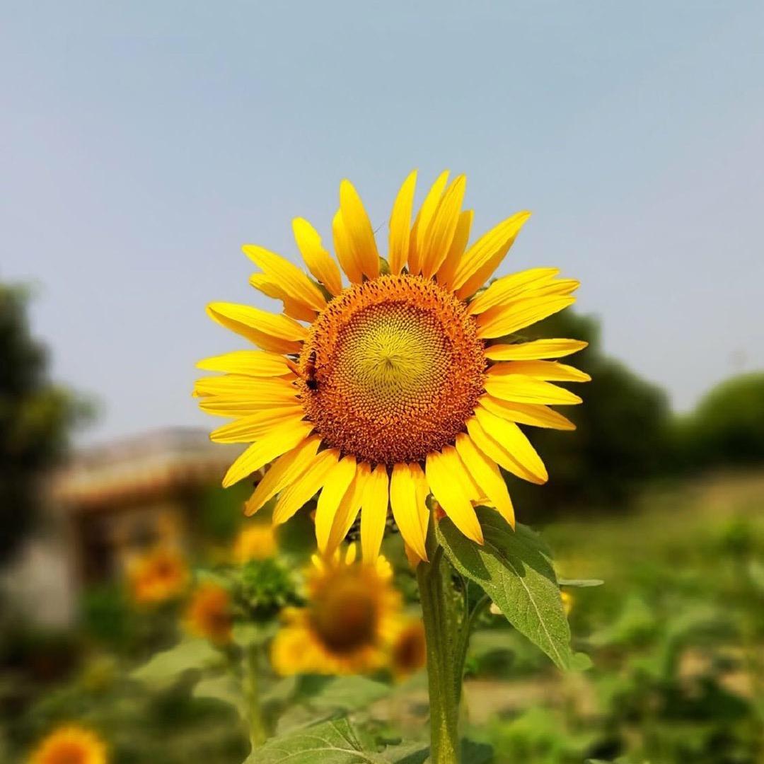 @宝哥哥