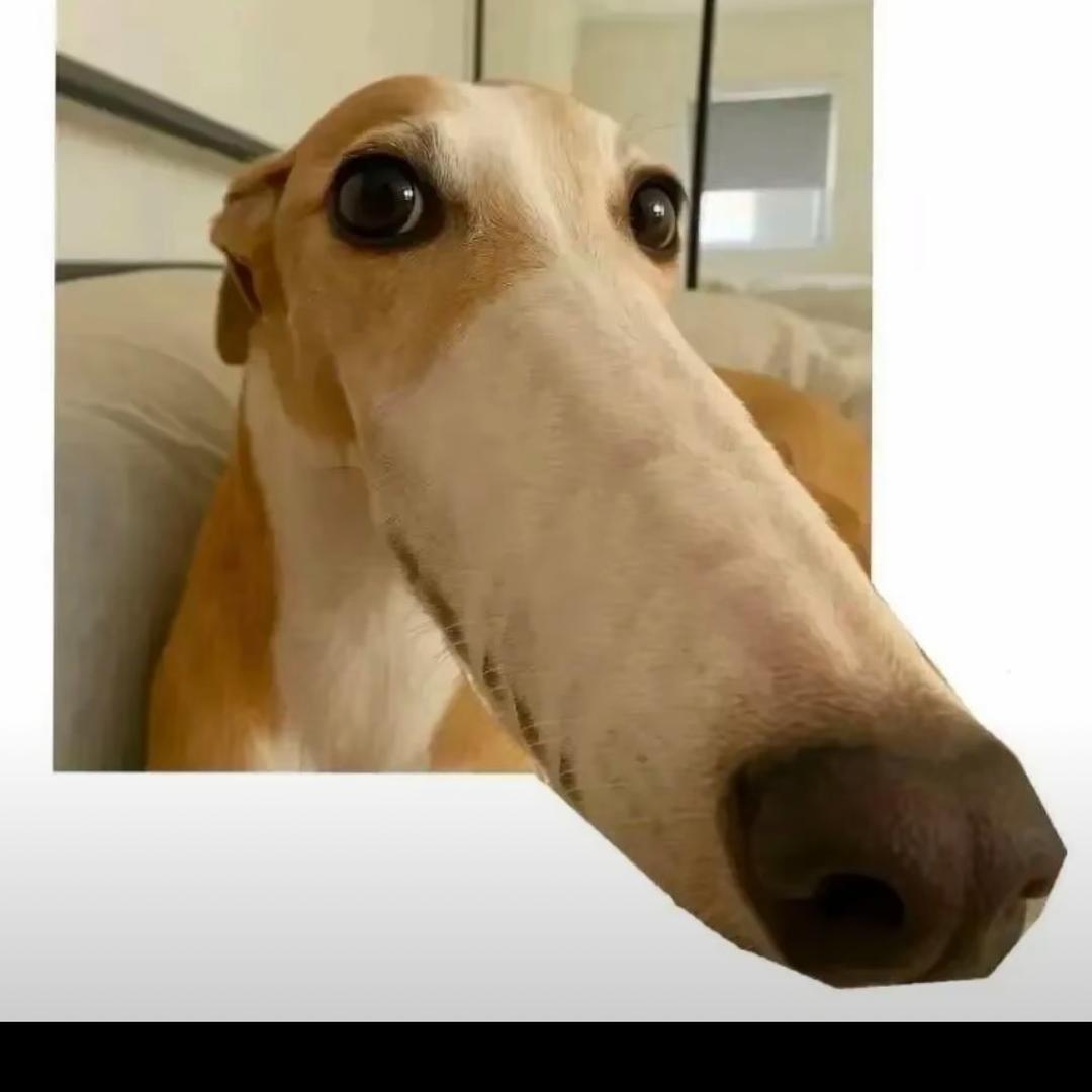 3.