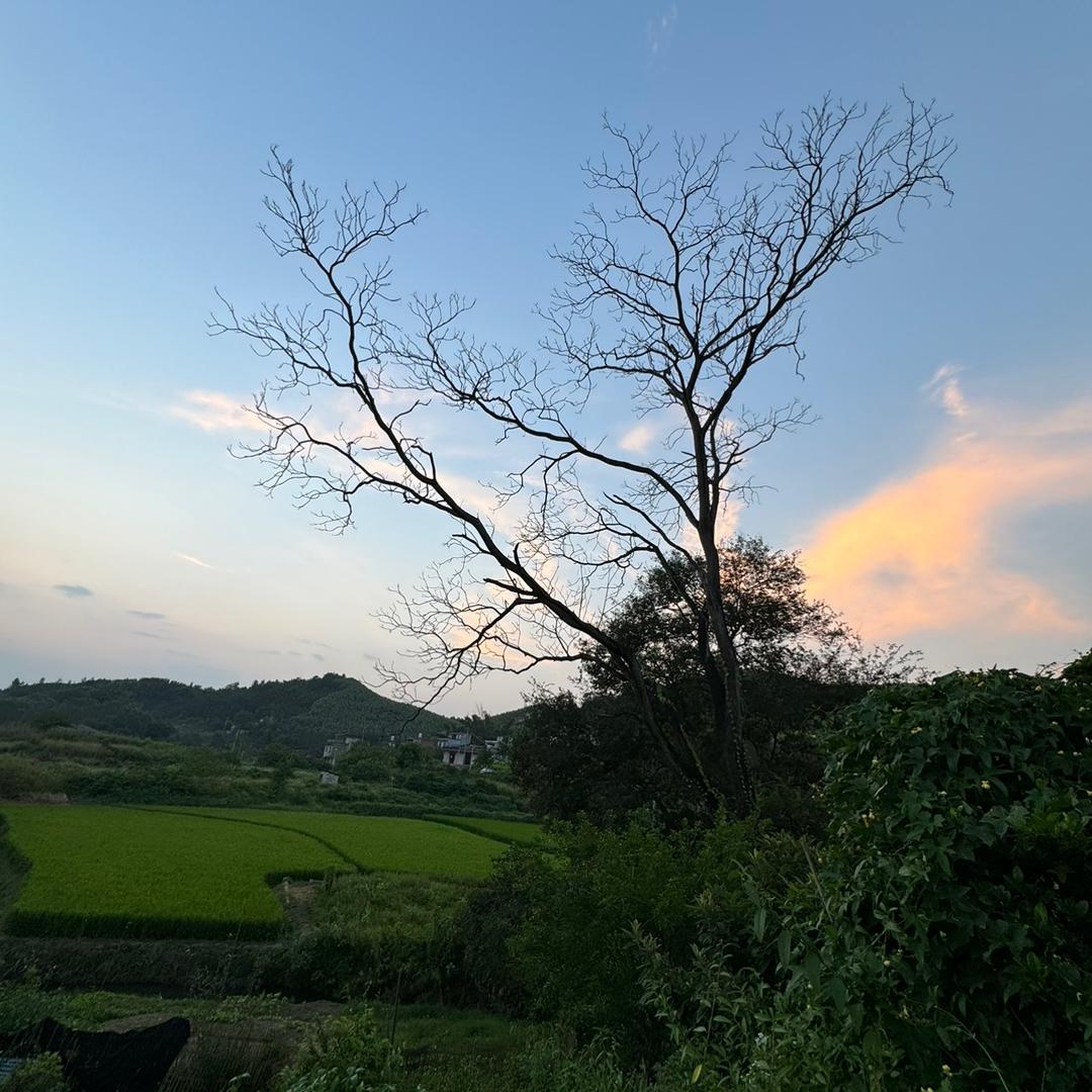 车轮滚滚