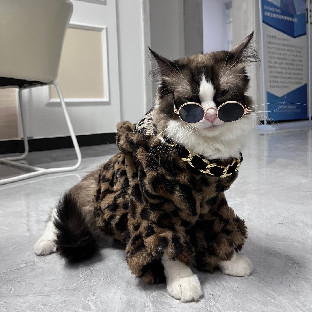 爱宠有家（分身）