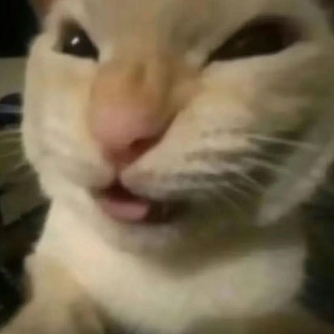 摆烂了