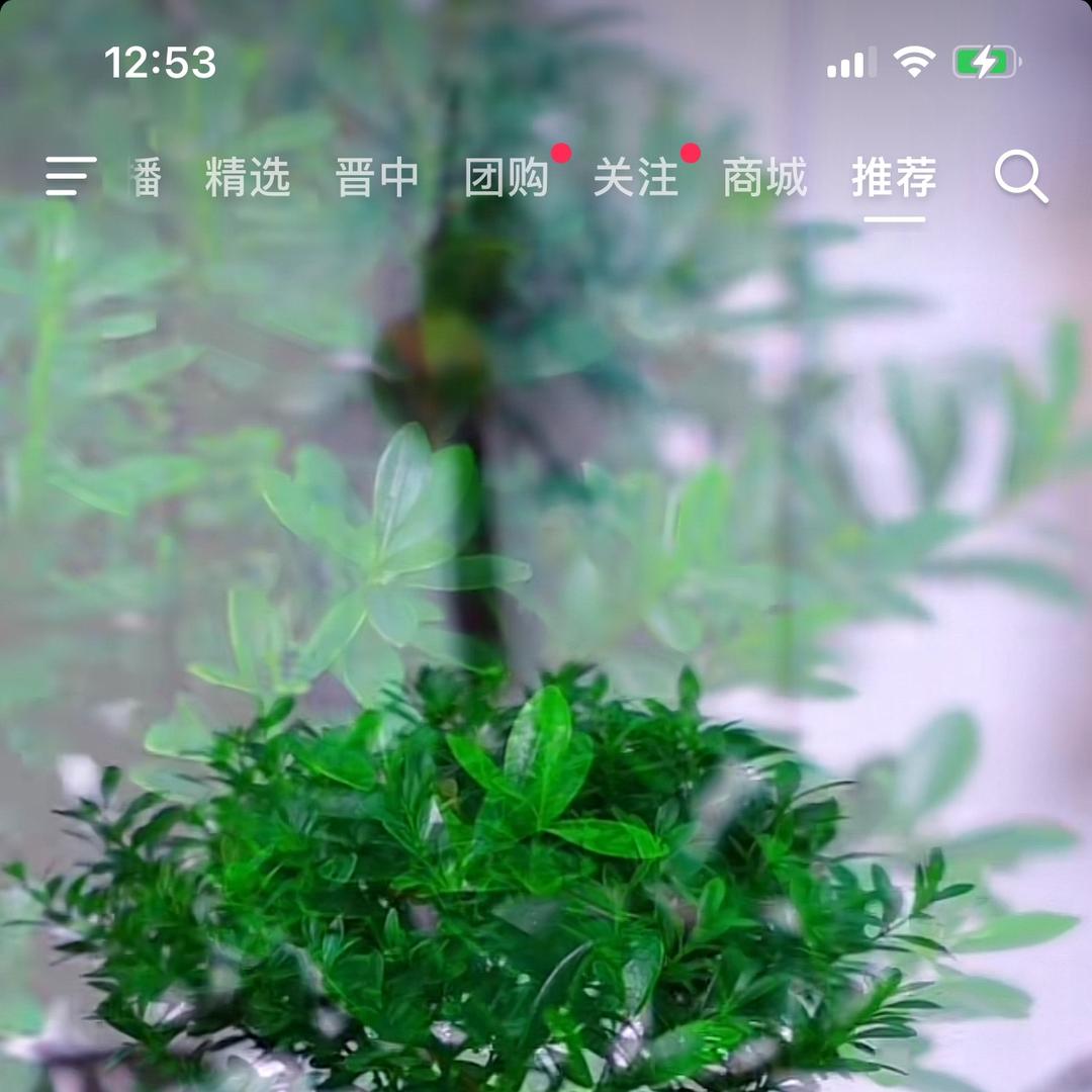 尚品坊看山西