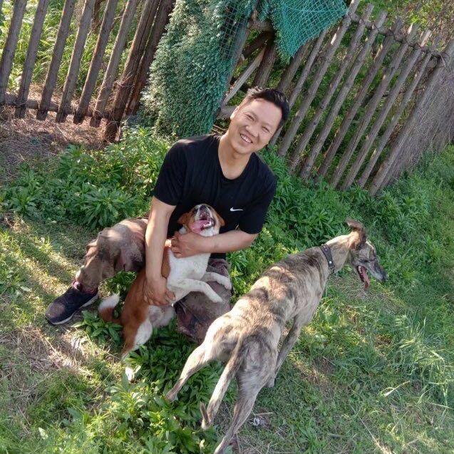 宇宙犬舍