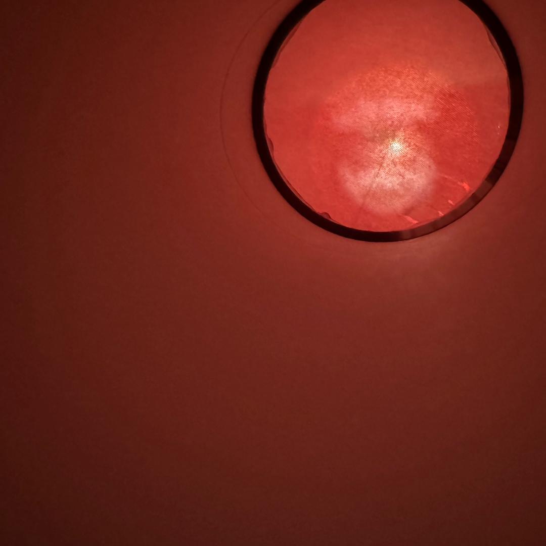 zz的世界