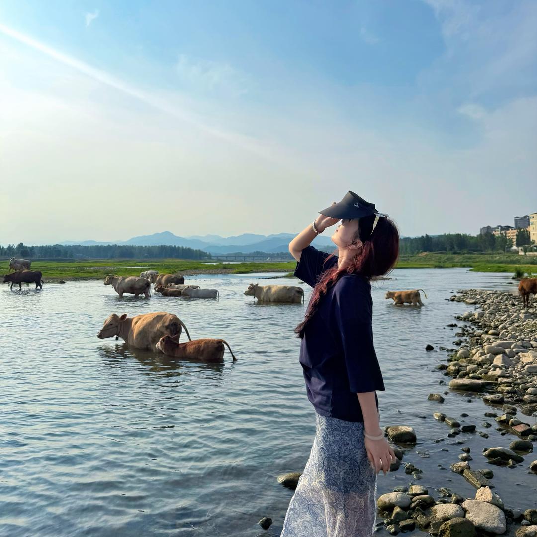 小董同学y