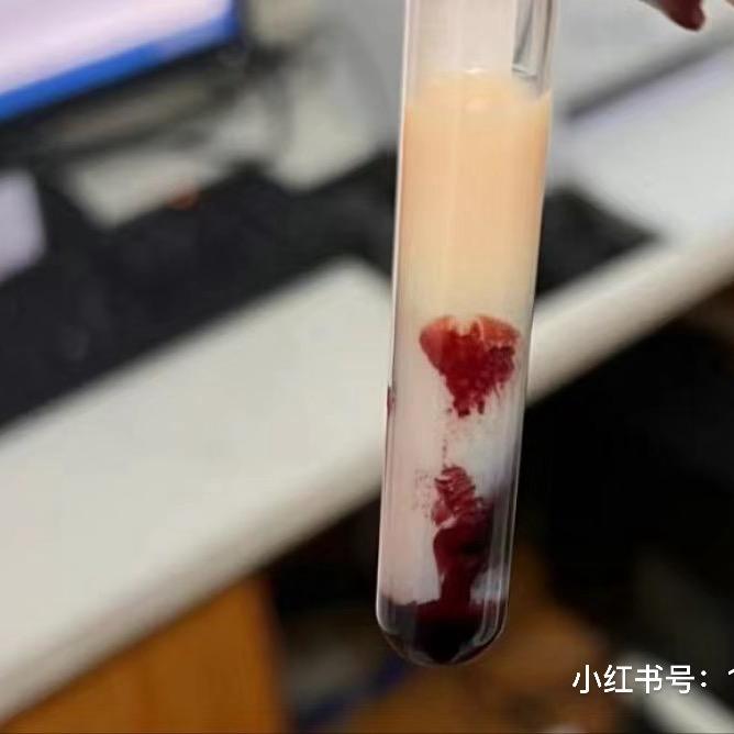 鲸落