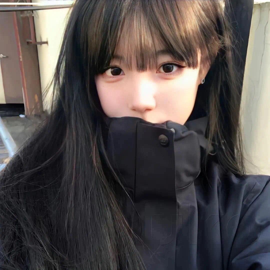 海上森林一只猫•