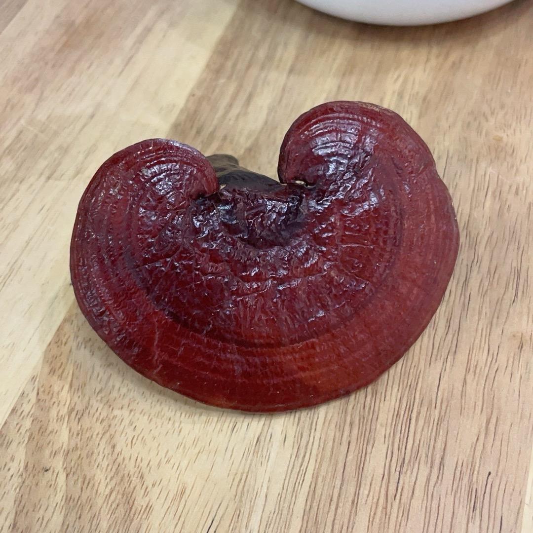 月轻风