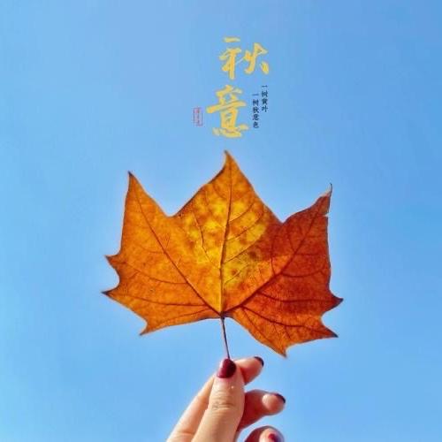 羽芳女装服饰工厂店