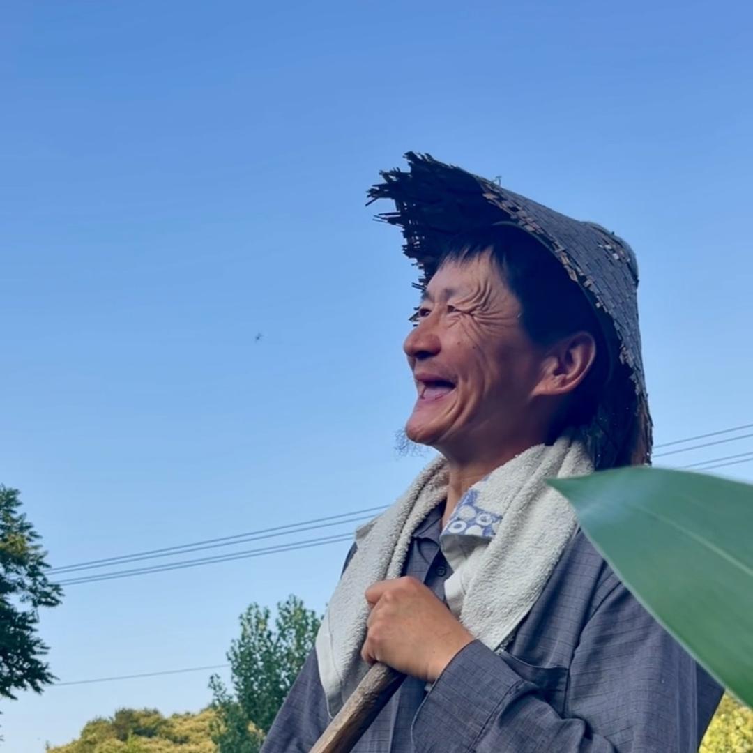 老牛尝百草