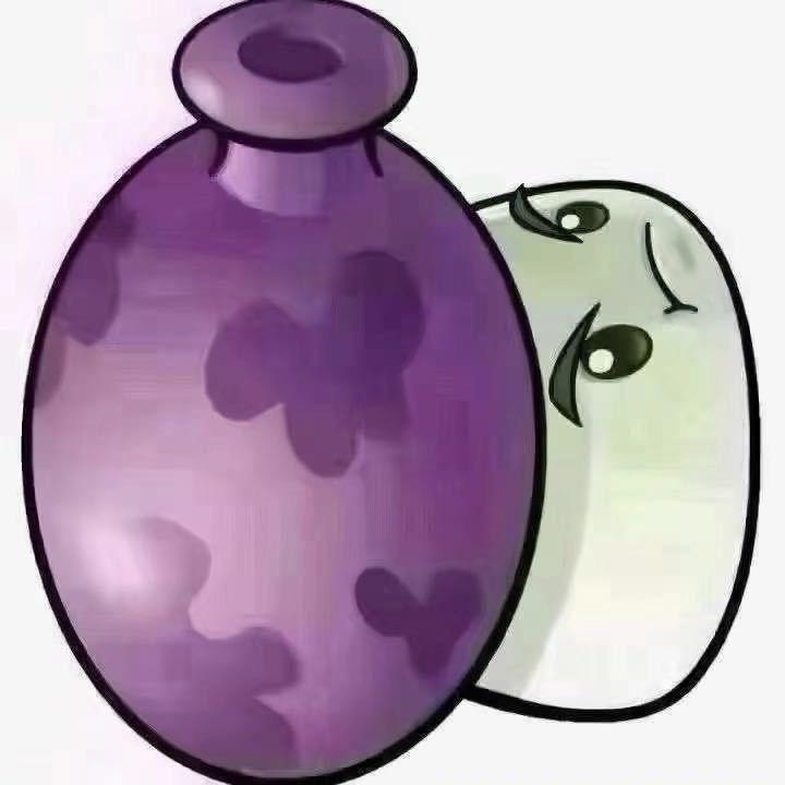 空姐陷阱
