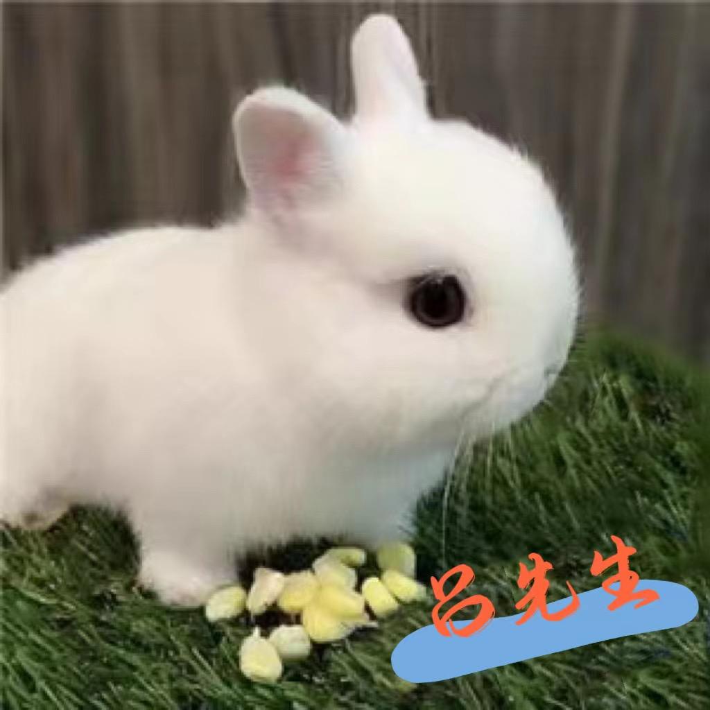 A A A