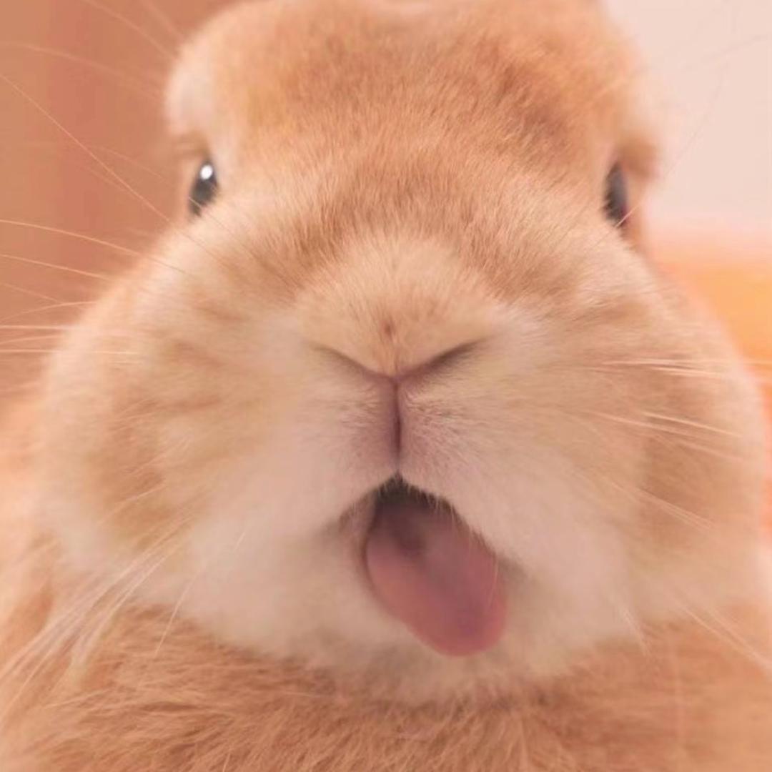 程艾影
