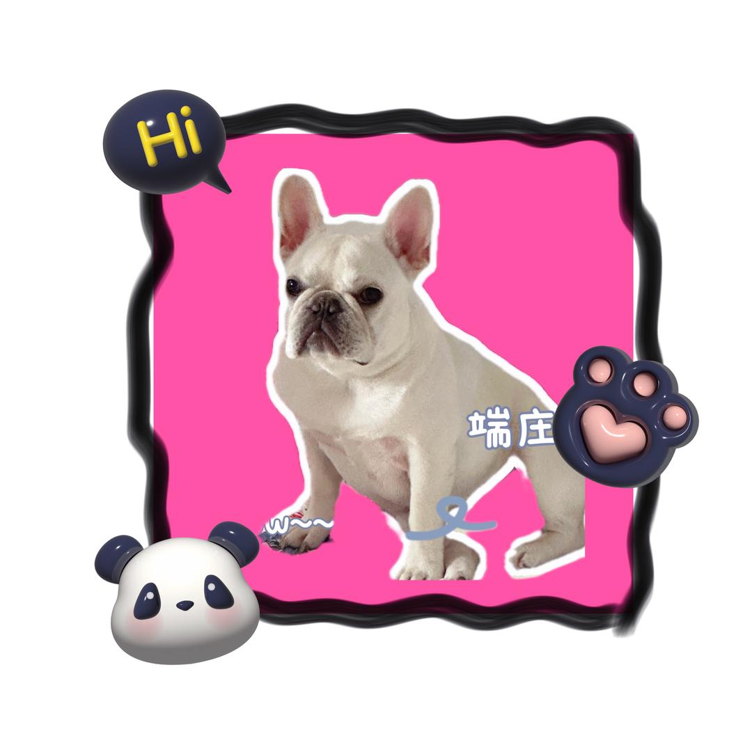 肥肥日记📔