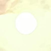 小叮𪠽ㅤㅤㅤㅤㅤ