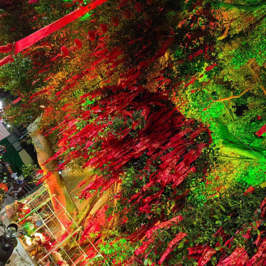 ღ᭄吃野菜💞࿐