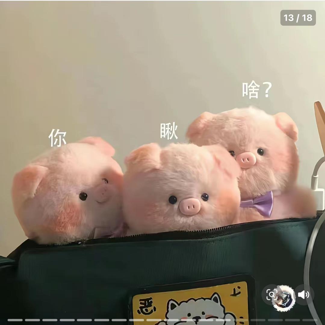 可乐🥤
