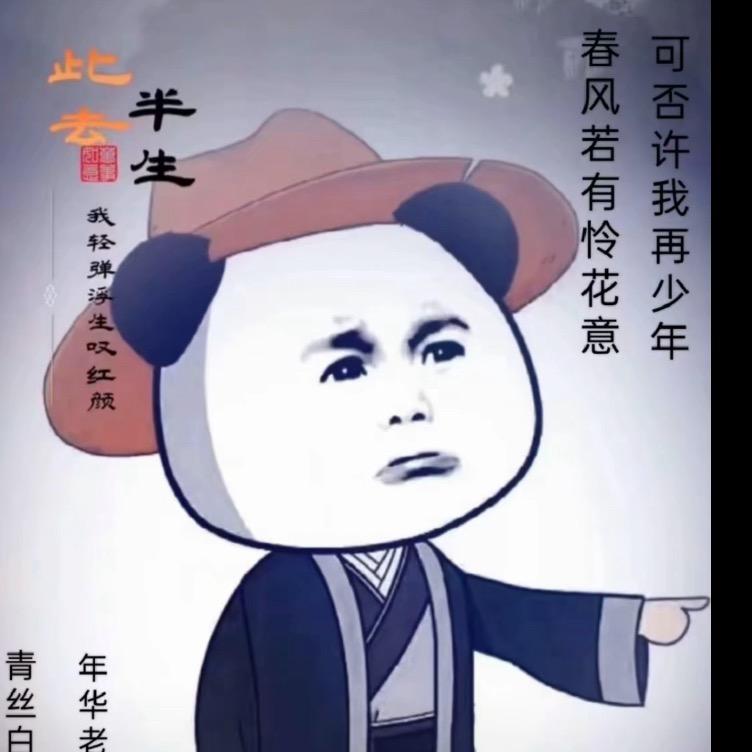 梦想在飞