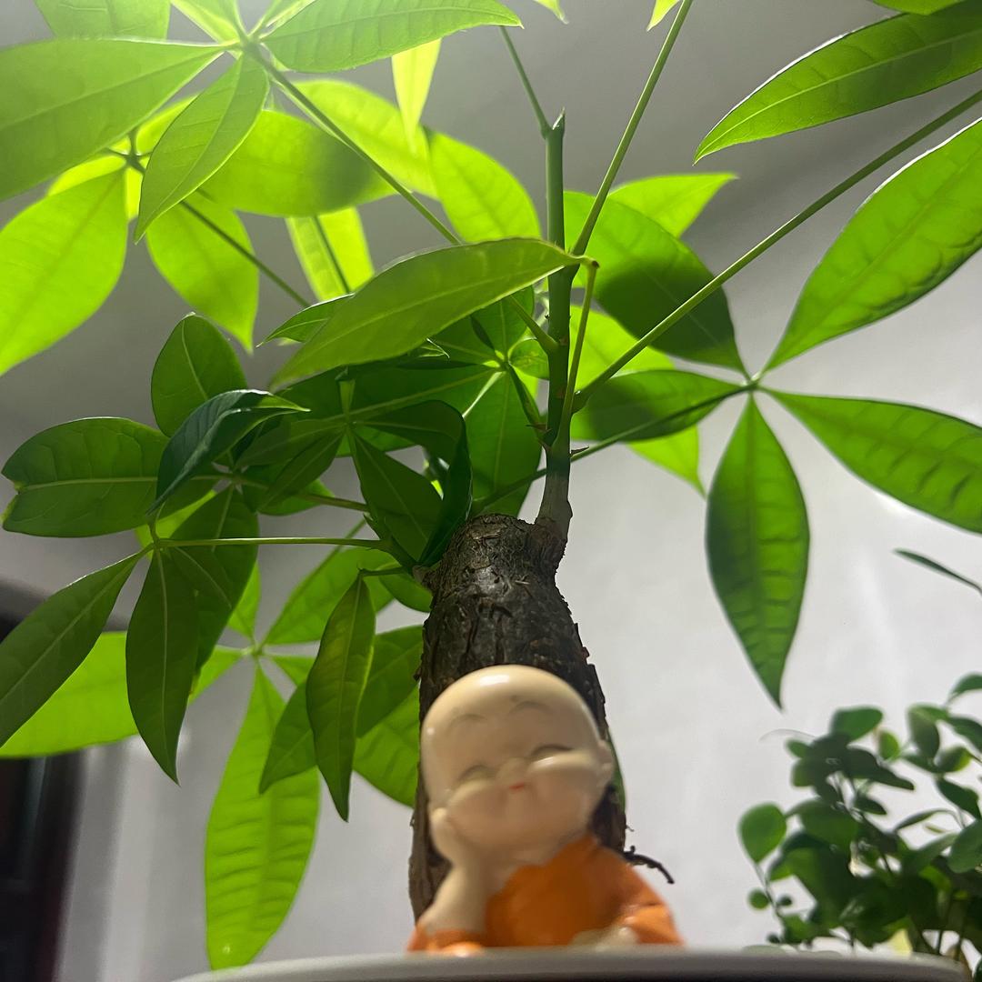 修心