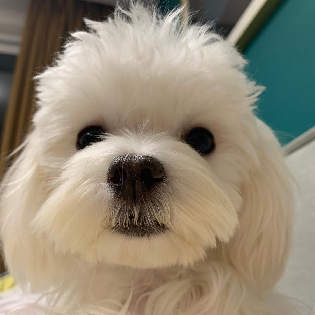 我怎么都不想睡