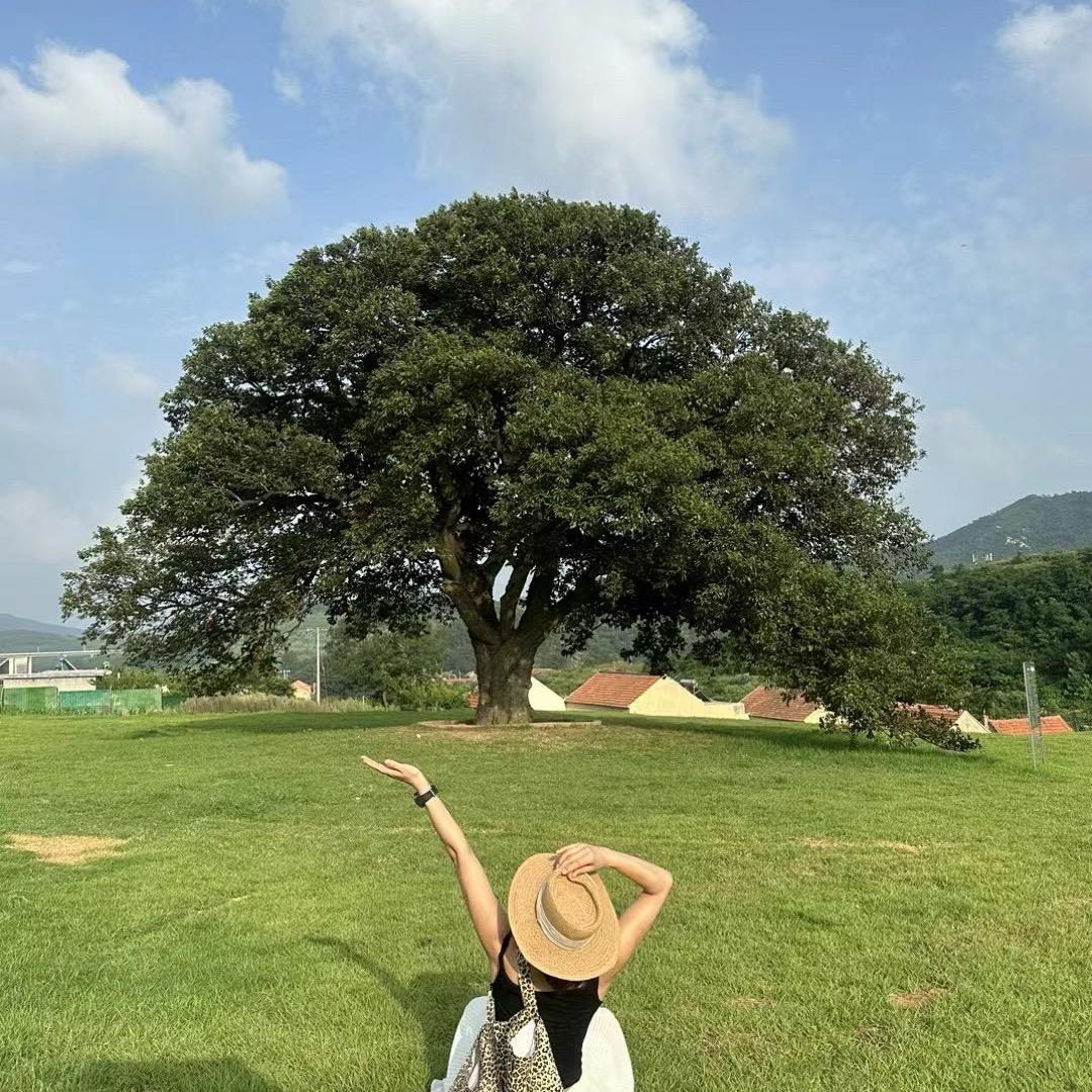 艺馨小姐姐