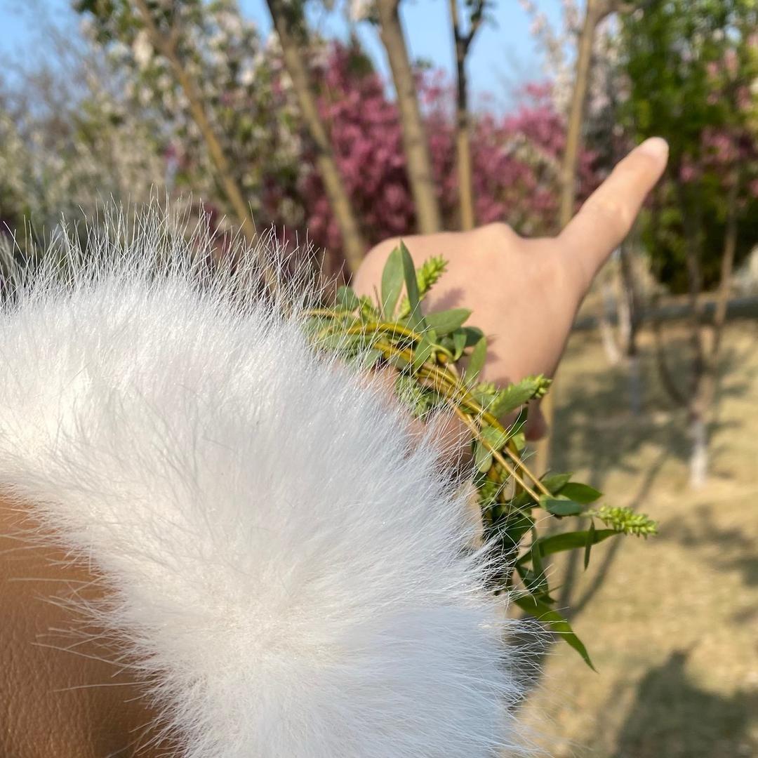 ～洁白的洁