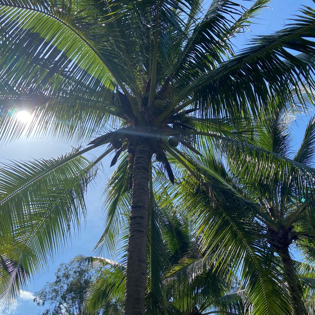 এ᭄ℳ๓暖心❤️向阳☀️º᭄。
