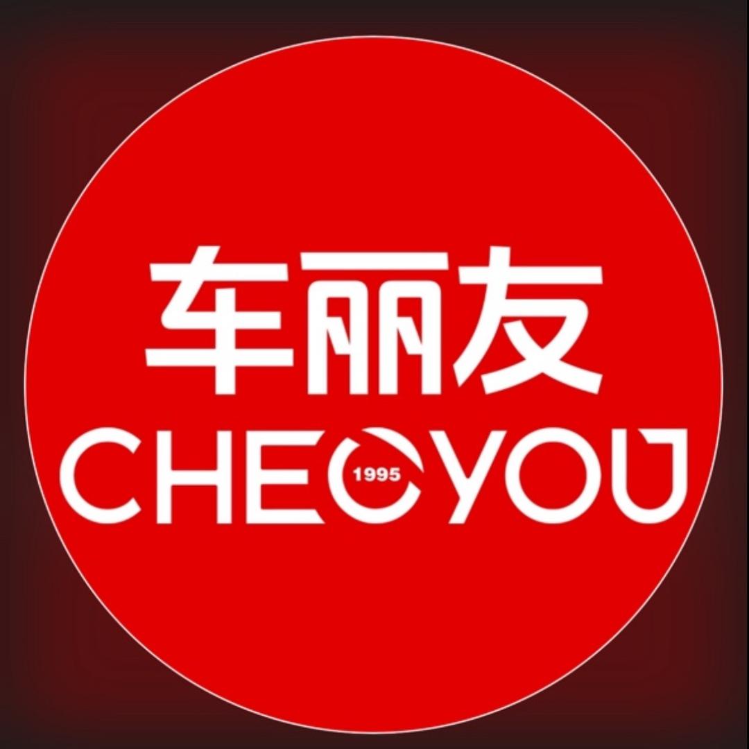 车丽友商务对接