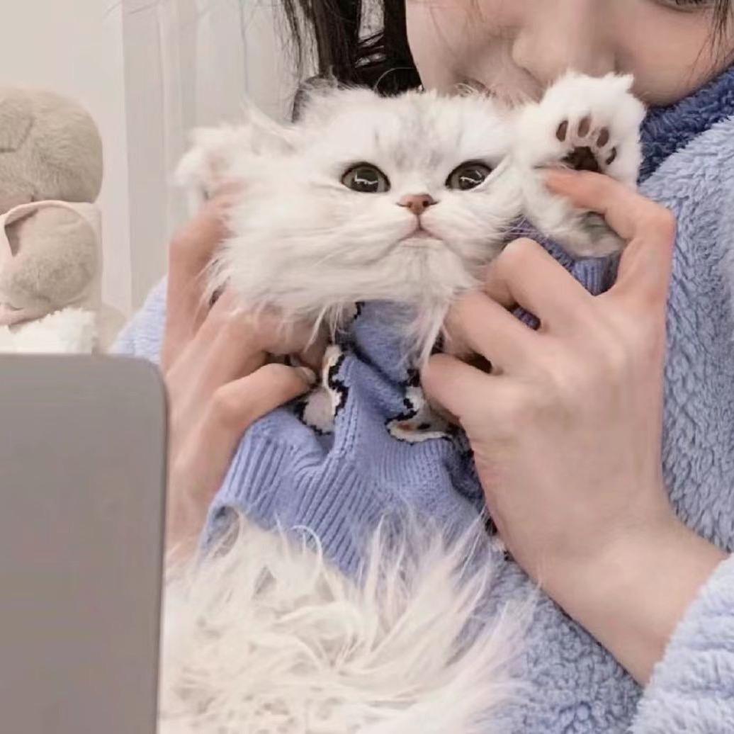 带萌萌去澳门🌈