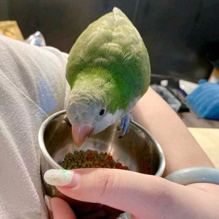 卖坤精选