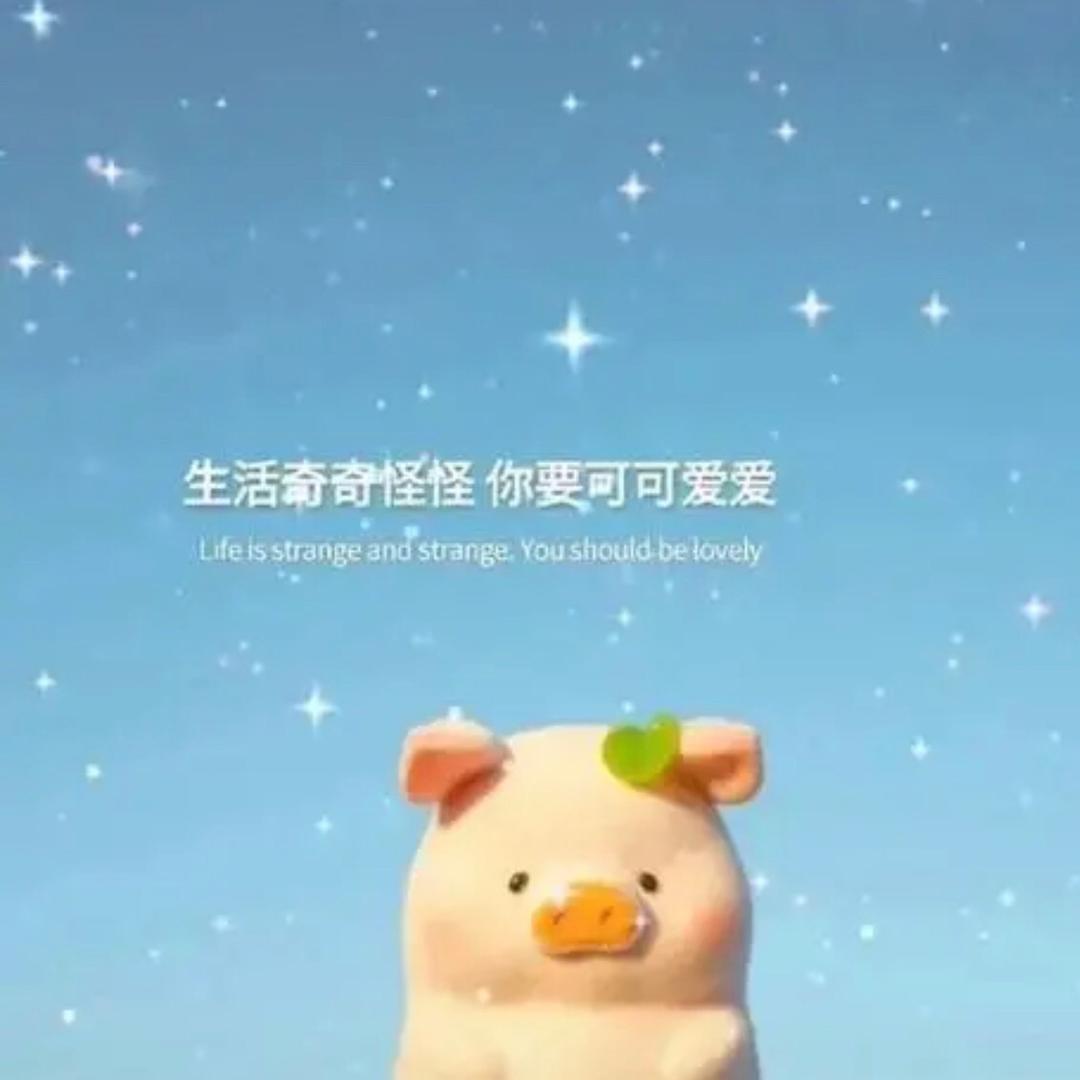 多年不见