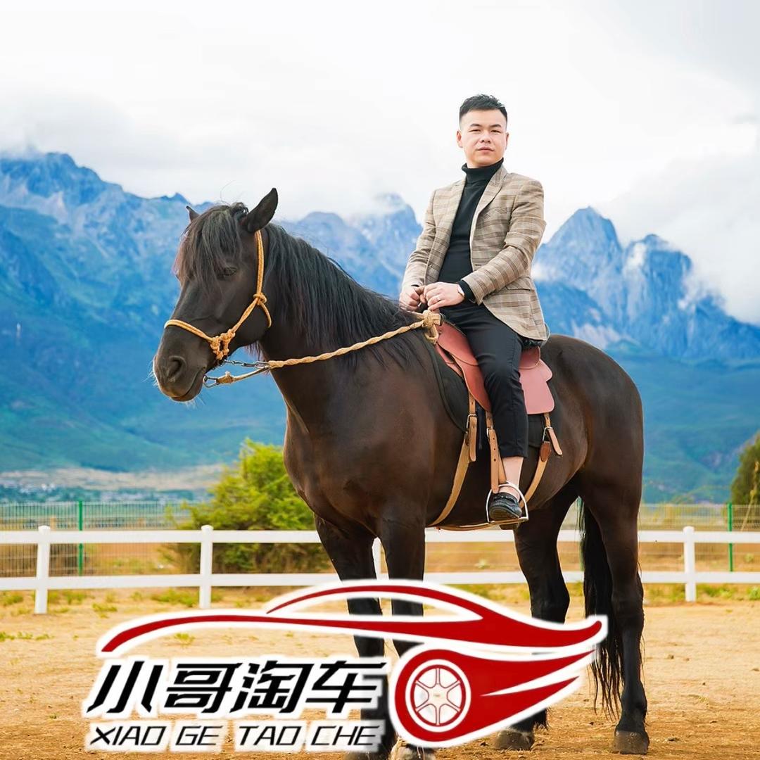 信丰县小哥淘车汽车销售有限公司